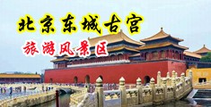 久久水蜜桃91私人影院中国北京-东城古宫旅游风景区